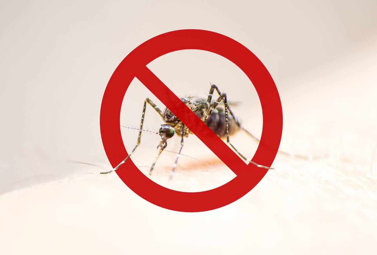 Itá registra três casos ativos de Dengue