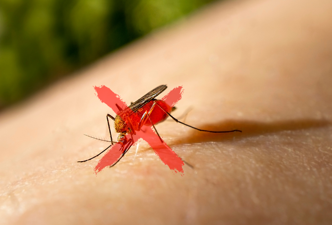 Itá registra mais de 1110 casos de Dengue