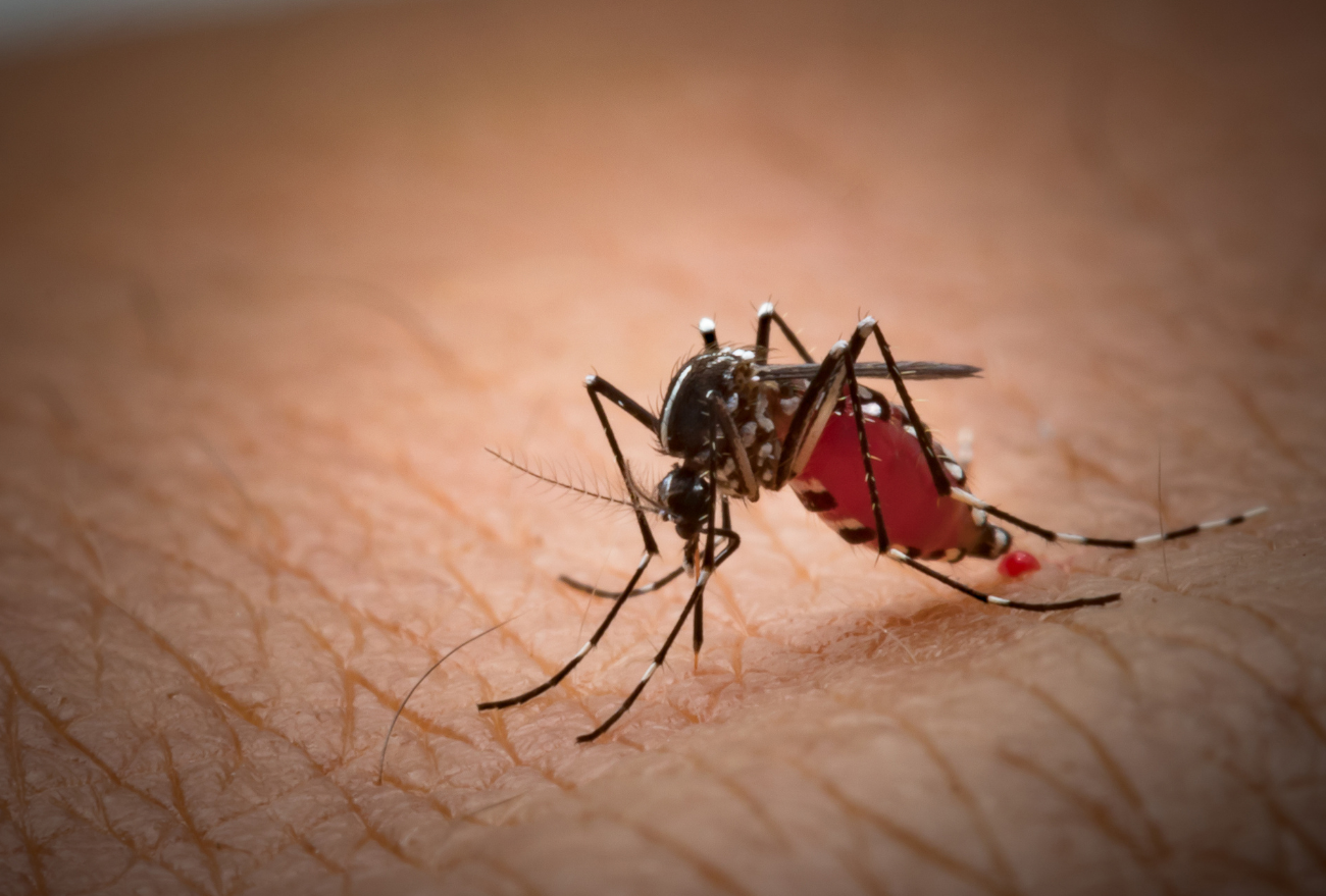 Seara possui mais de 1300 casos de Dengue