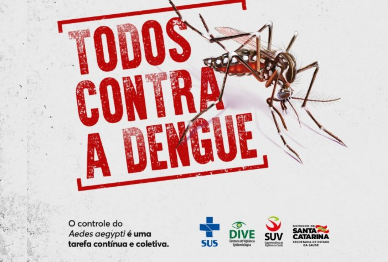 Dengue: 45 municípios possuem alto risco de transmissão da doença. Veja!