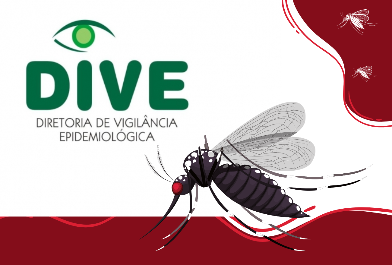 Seara é uma das cidades consideradas epidêmicas pela Dengue, segundo Dive