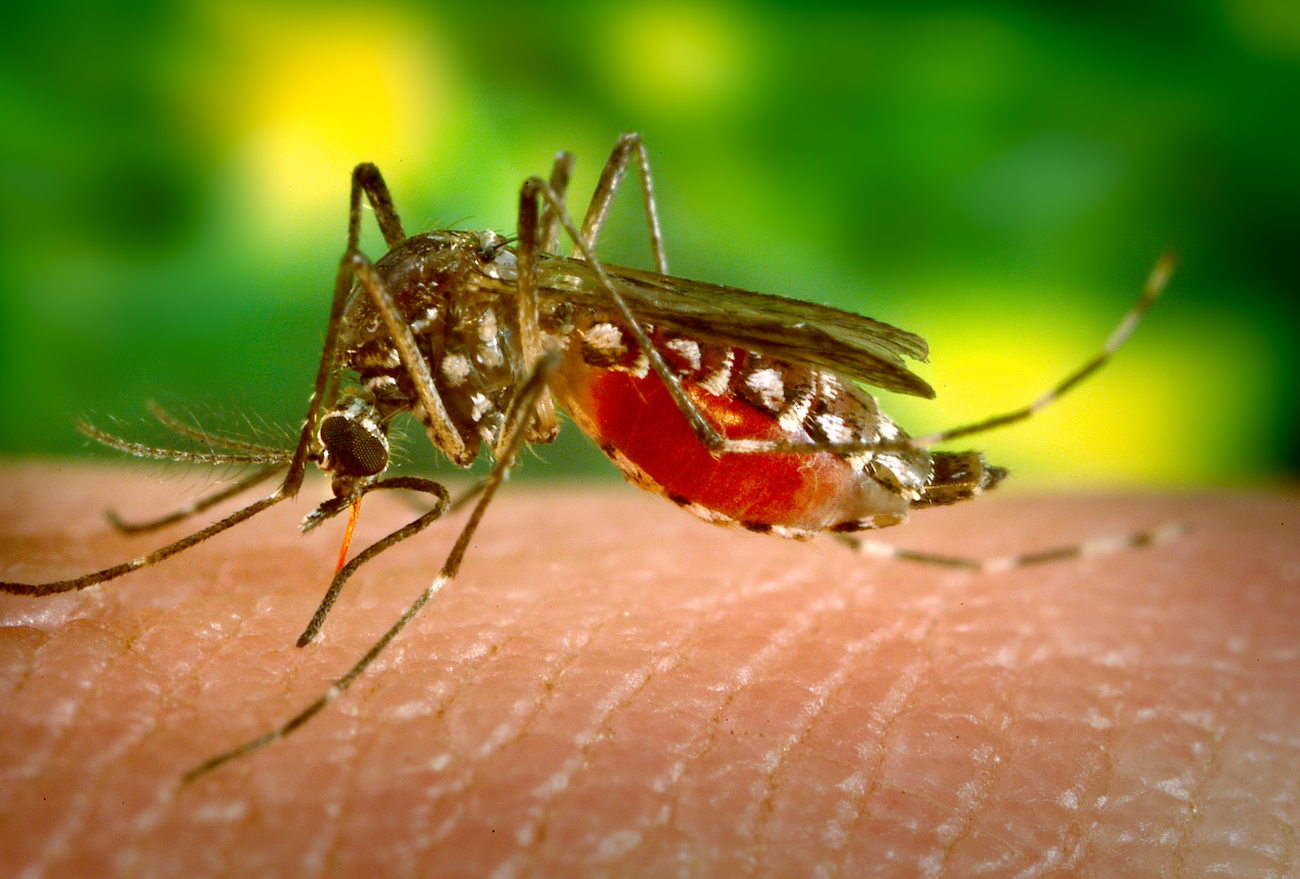 Confirmado primeiro óbito por Dengue em Seara; mortes em Arabutã e Irani seguem em investigação