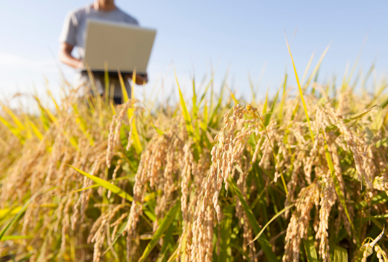 Inscrições para os cursos técnicos gratuitos do Senar/SC encerram no dia 19 de janeiro