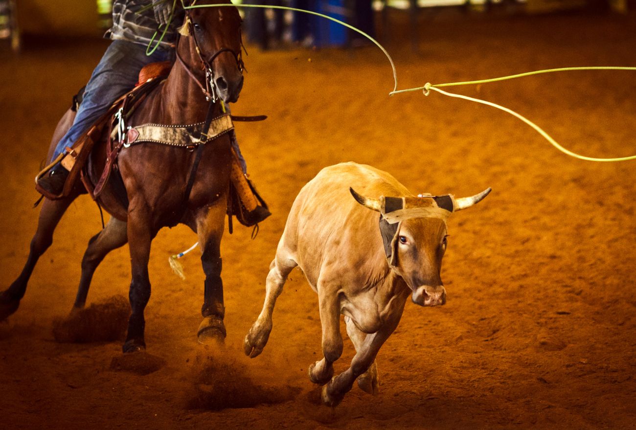 Confirmado o III Rodeio Crioulo Interestadual do CTG Macanudos de Seara