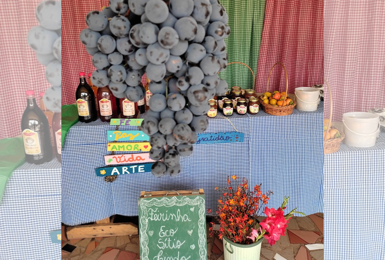 Eco Sítio Lindo realiza Feirinha nesta terça-feira (14), em Seara