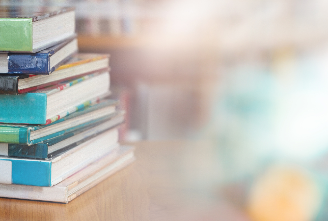 Prefeitura de Seara realiza inauguração da biblioteca Borboletinha Dhóra