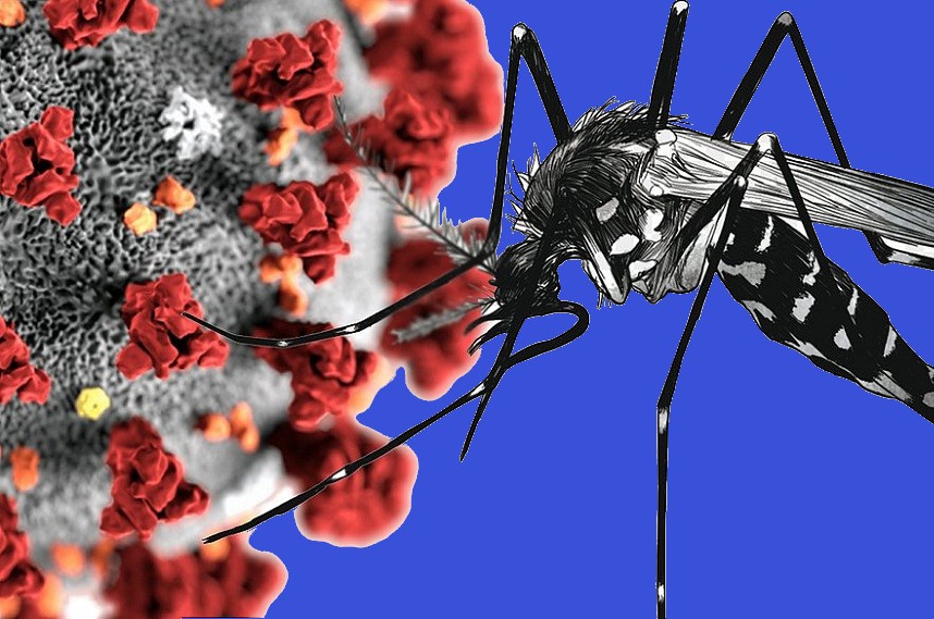 Secretaria da Saúde de Seara divulga dados atualizado dos casos de Covid e Dengue