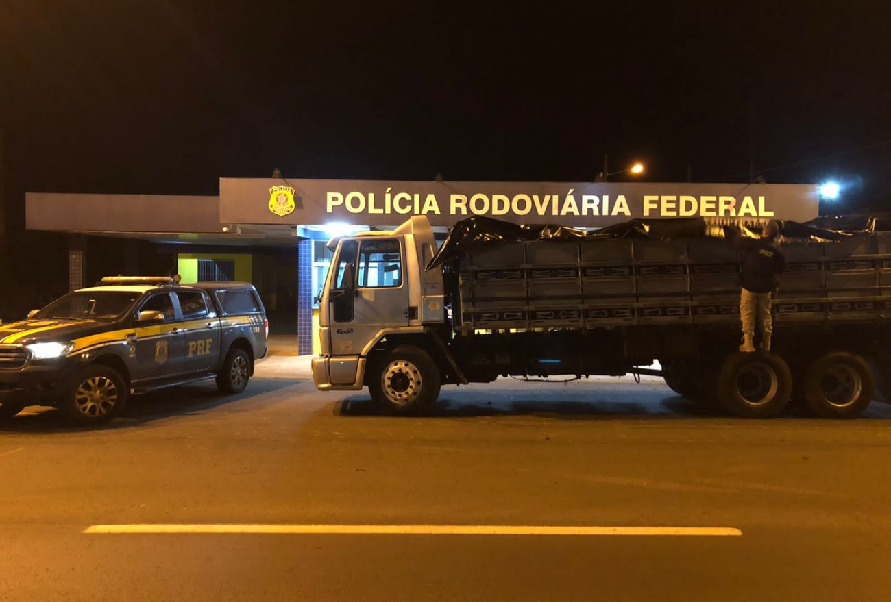 PRF apreende quatro toneladas de camarão contrabandeado na BR-282, em Xanxerê