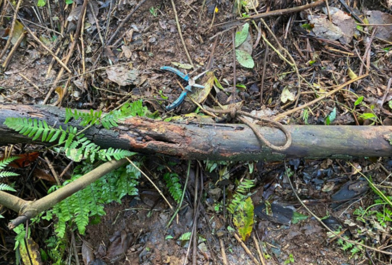 Justiça marca para junho o júri de trio acusado de matar e esquartejar corpo em Xavantina