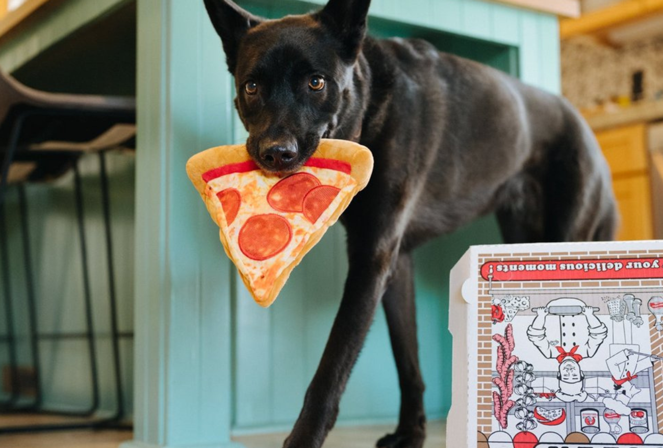 Causa animal: ONG Auquemia promove a venda de pizzas para arrecadar fundos