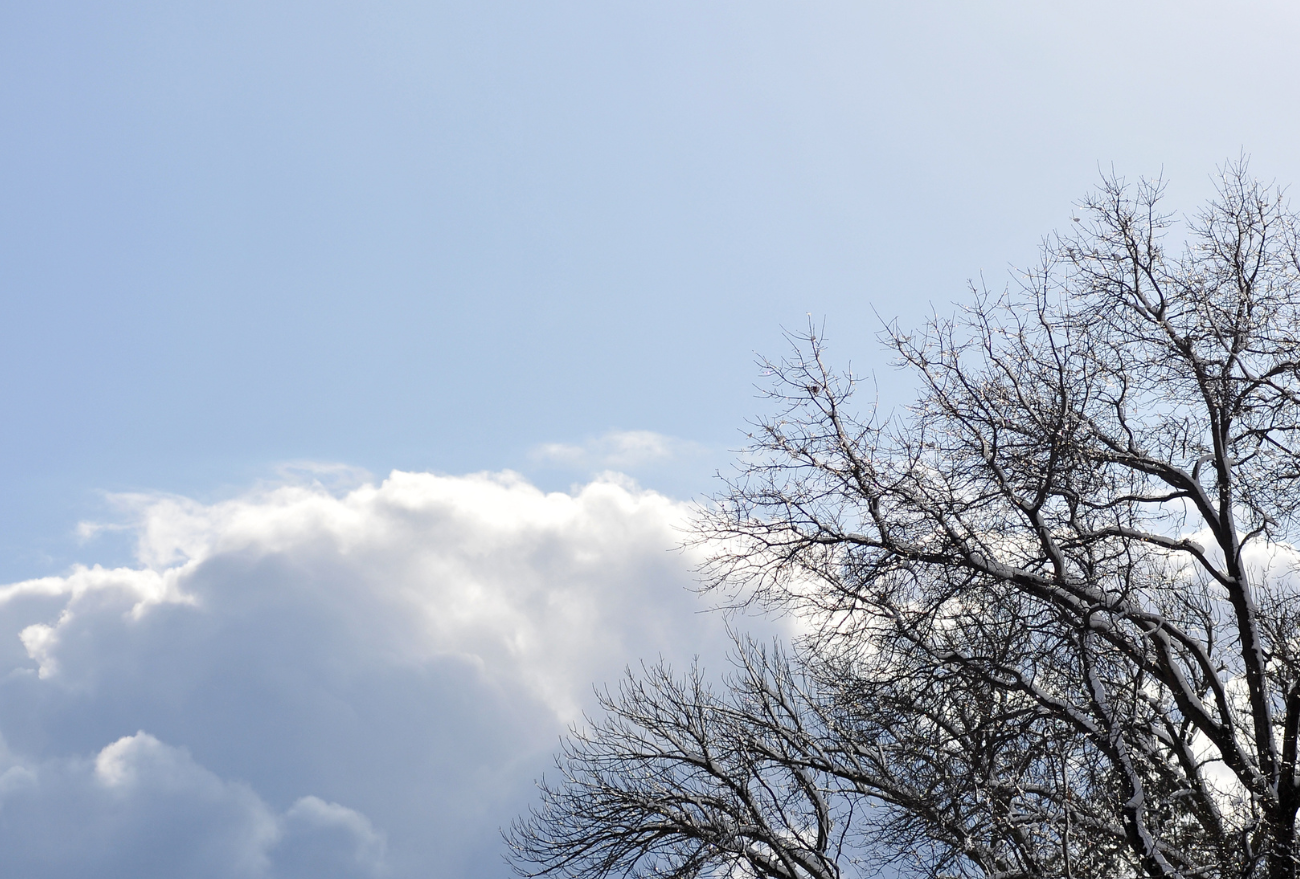 Previsão do tempo marca temperatura mínima de 11ºC em Seara