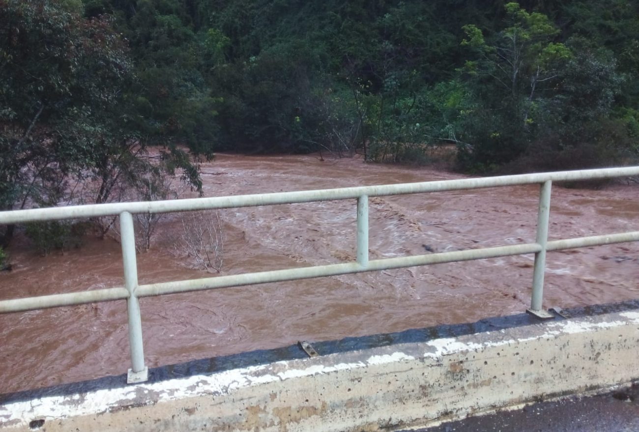 Fotos: devido à chuva, Rio Ariranha apresenta alto nível de água, preocupando moradores
