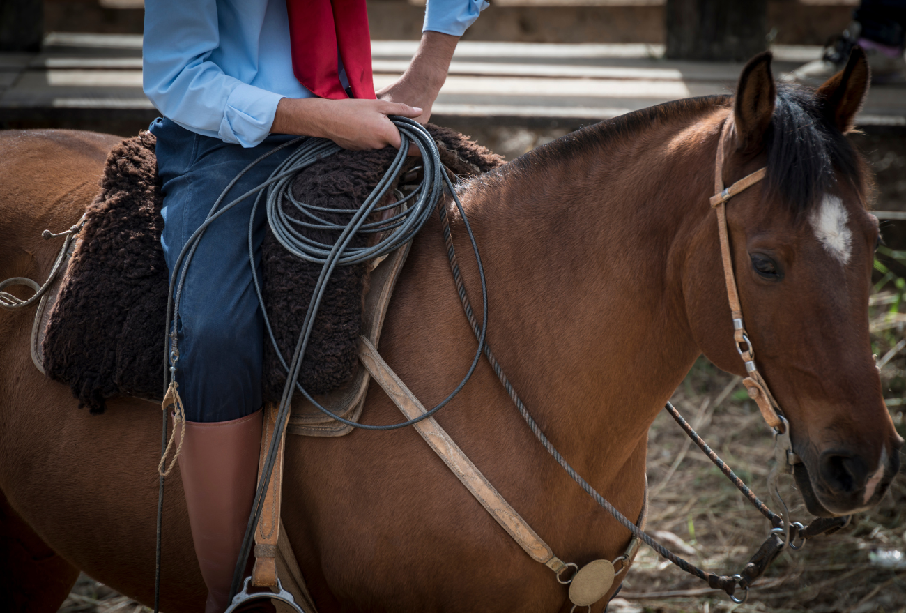 Ocorre neste fim de semana, a 3ª Copa de Laço e tradicional Cavalgada no CTG Macanudos