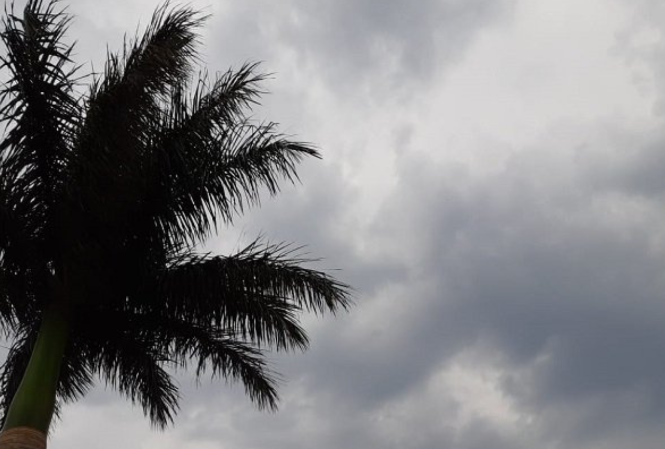 Confira a previsão do tempo para esta quinta-feira (28), em Seara