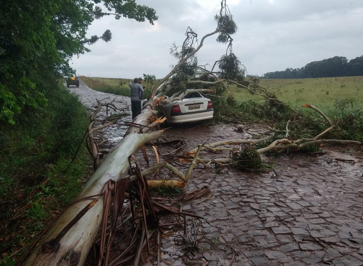 Tempestade deixa vítima fatal após queda de árvore, no Oeste