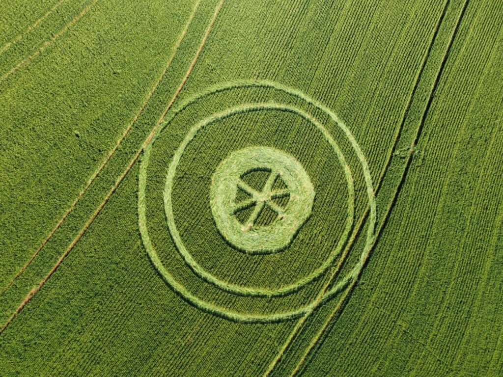 Desenhos misteriosos aparecem novamente em plantação, em Ipuaçu