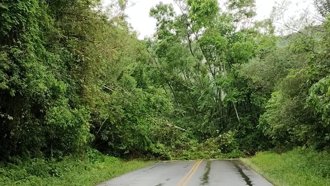 Rodovia entre Arabutã e Seara segue interditada após deslizamento de terra